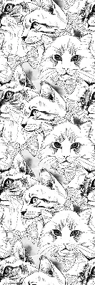 Fensterrollo für den Innenbereich mit Motiv von gezeichneten Katzen