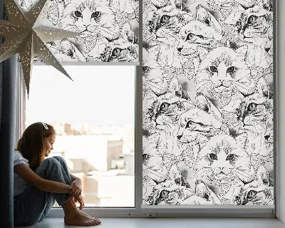 Fensterrollo für den Innenbereich mit Motiv von gezeichneten Katzen