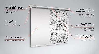 Fensterrollo für den Innenbereich mit Motiv von gezeichneten Katzen