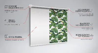 Fensterrollo mit Motiv exotischer Blätter