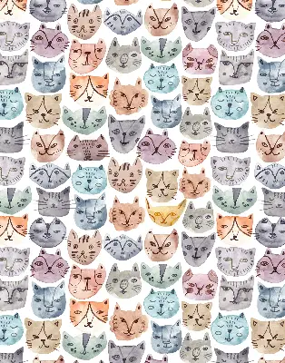 Rollo Fenster mit bunten Katzengesichtern