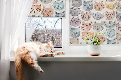 Rollo Fenster mit bunten Katzengesichtern