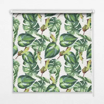 Fensterrollo mit Motiv tropische Pflanzen