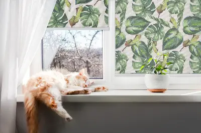 Fensterrollo mit Motiv tropische Pflanzen