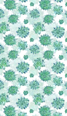 Fensterrollo mit grünem Blumenmuster