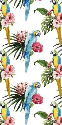 Fensterrollo mit Motiv von einem Papagei auf Blumen