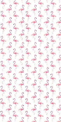 Fensterrollo mit Flamingomotiv