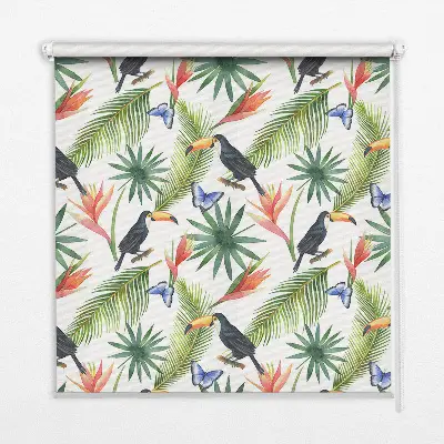 Rollo Fenster mit Motiv Tukane auf Blumen