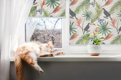 Rollo Fenster mit Motiv Tukane auf Blumen