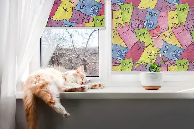 Fensterrollo mit buntem Katzenmotiv