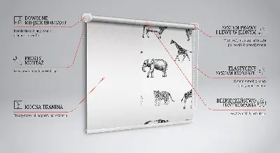 Fensterrollo mit Tiermotiv