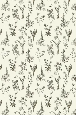 Fensterrollo mit Motiv gezeichnete Blumen