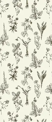 Fensterrollo mit Motiv gezeichnete Blumen