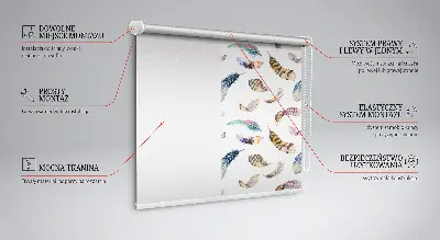 Fensterrollo mit Federmechanismus