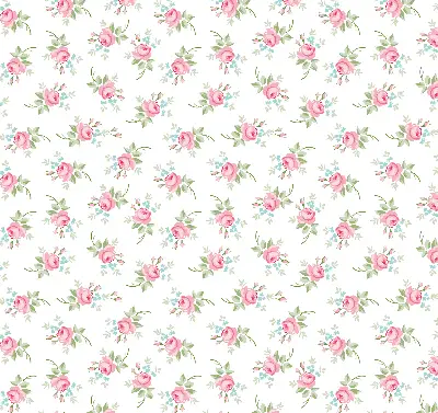 Fensterrollo für den Innenbereich mit Rosenmotiv