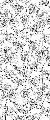 Rollo mit Motiv gezeichnete Blumen