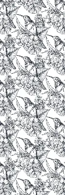 Fensterrollo mit Motiv gezeichneter Blumen