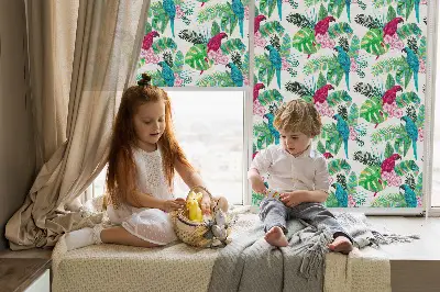 Fensterrollo für den Innenbereich mit Papageien Motiv
