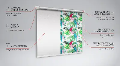 Fensterrollo für den Innenbereich mit Papageien Motiv