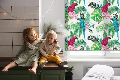 Fensterrollo für den Innenbereich mit Papageien Motiv