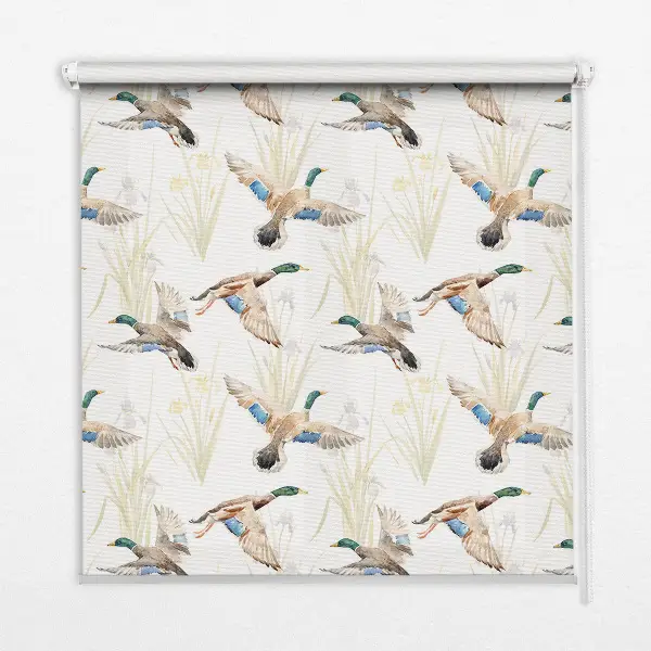 Rollo mit Motiv fliegender Enten