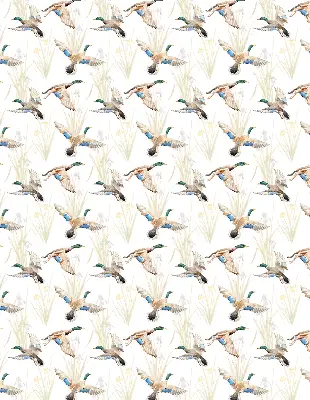 Rollo mit Motiv fliegender Enten