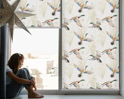 Rollo mit Motiv fliegender Enten