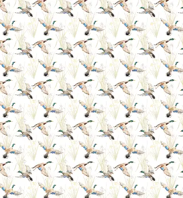 Rollo mit Motiv fliegender Enten