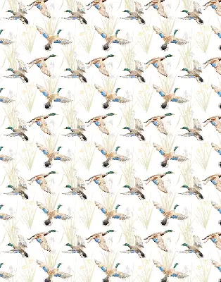 Rollo mit Motiv fliegender Enten
