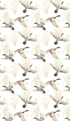 Rollo mit Motiv fliegender Enten