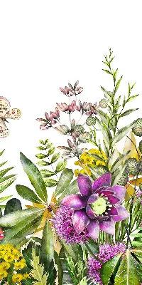Fensterrollo für den Innenbereich mit Blumenmotiv