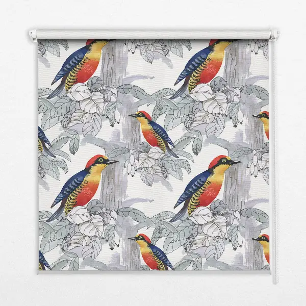 Fensterrollo innen mit Motiv Farbenfroher Vogel