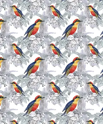 Fensterrollo innen mit Motiv Farbenfroher Vogel