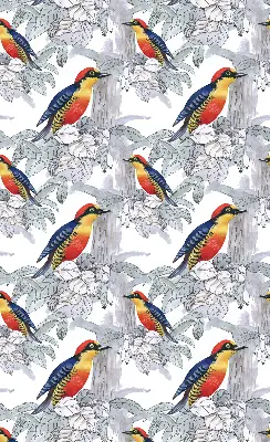 Fensterrollo innen mit Motiv Farbenfroher Vogel