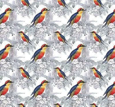Fensterrollo innen mit Motiv Farbenfroher Vogel
