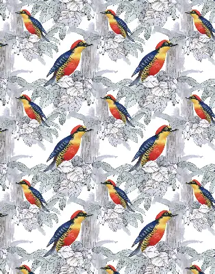 Fensterrollo innen mit Motiv Farbenfroher Vogel
