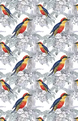 Fensterrollo innen mit Motiv Farbenfroher Vogel