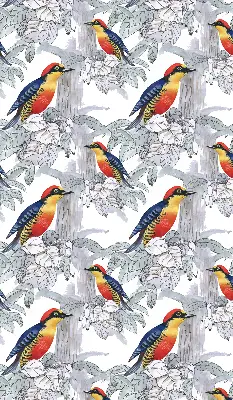 Fensterrollo innen mit Motiv Farbenfroher Vogel