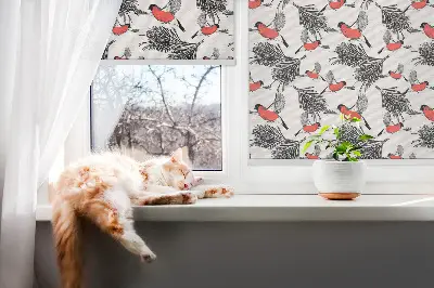 Rollo Fenster Gimpel