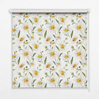 Fensterrollo mit Gänseblümchen Motiv