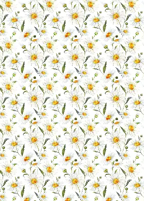 Fensterrollo mit Gänseblümchen Motiv