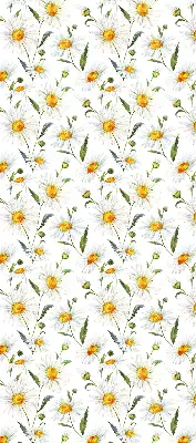 Fensterrollo mit Gänseblümchen Motiv