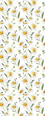 Fensterrollo mit Gänseblümchen Motiv