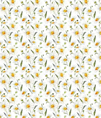 Fensterrollo mit Gänseblümchen Motiv