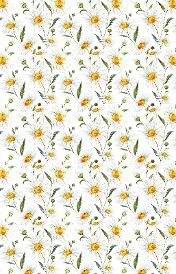 Fensterrollo mit Gänseblümchen Motiv