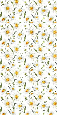 Fensterrollo mit Gänseblümchen Motiv