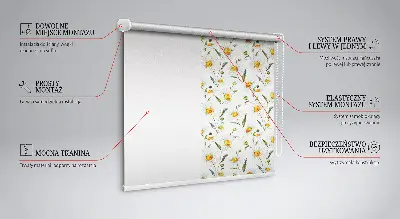Fensterrollo mit Gänseblümchen Motiv