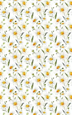 Fensterrollo mit Gänseblümchen Motiv