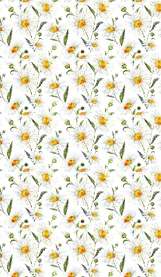 Fensterrollo mit Gänseblümchen Motiv
