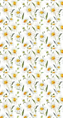 Fensterrollo mit Gänseblümchen Motiv